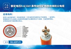 新型防火电缆系列NG-A(BTLY)